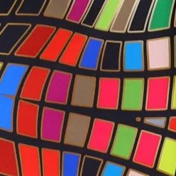 Overig Carnavalsjas Spectacular Pantone Voor Dames -Carnavalskleding Dames Winkel carnavalsjas spectacular pantone voor dames 3