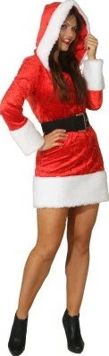 Overig Dameskostuum Miss Christmas
