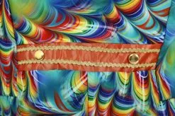 Overig Heren Carnavalsjas Orange Rainbow Feathers -Carnavalskleding Dames Winkel heren carnavalsjas orange rainbow feathers detail