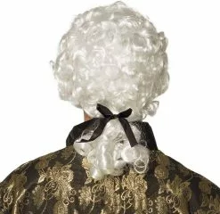 Overig Pruik Barock Heer Wit 5 Overig Pruik Barock Heer Wit -Carnavalskleding Dames Winkel pruik barock heer wit achterkant
