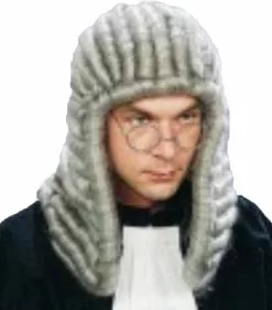 Overig Pruik Rechter Luxe Grijs