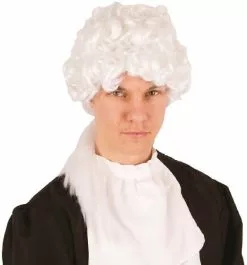 Overig Pruik Rococo Heer Wit